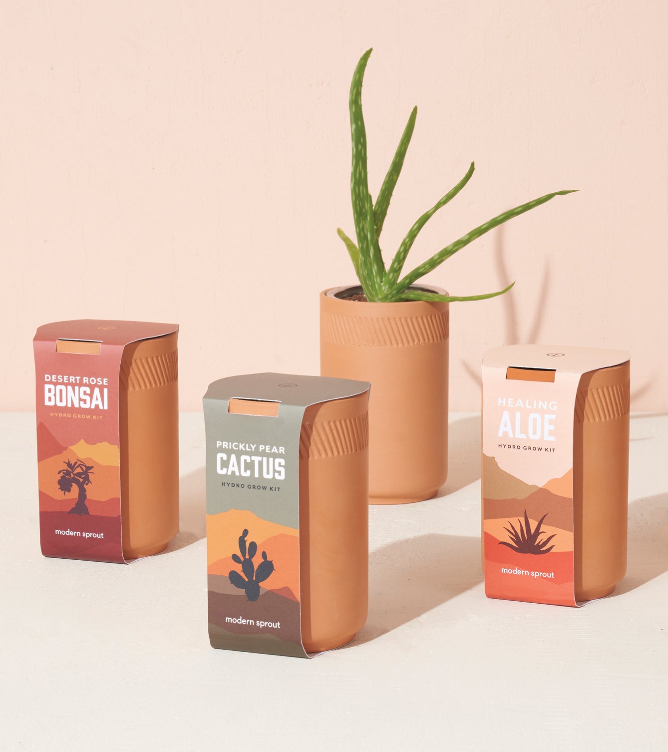 Terracotta Grow Kits #1